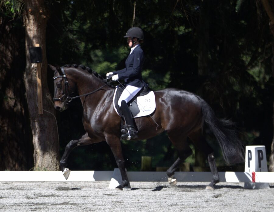 Bunny-Trot-2