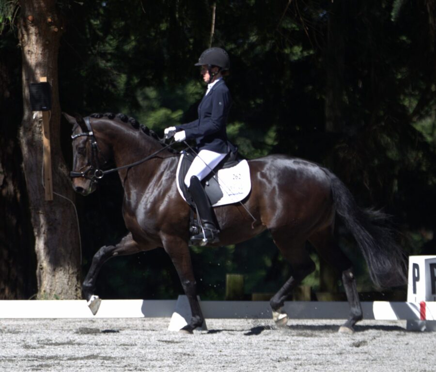 Bunny-Trot-2